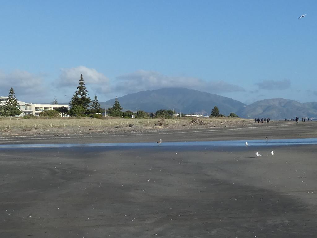 Apartment 4A - By The Beach Paraparaumu Zewnętrze zdjęcie